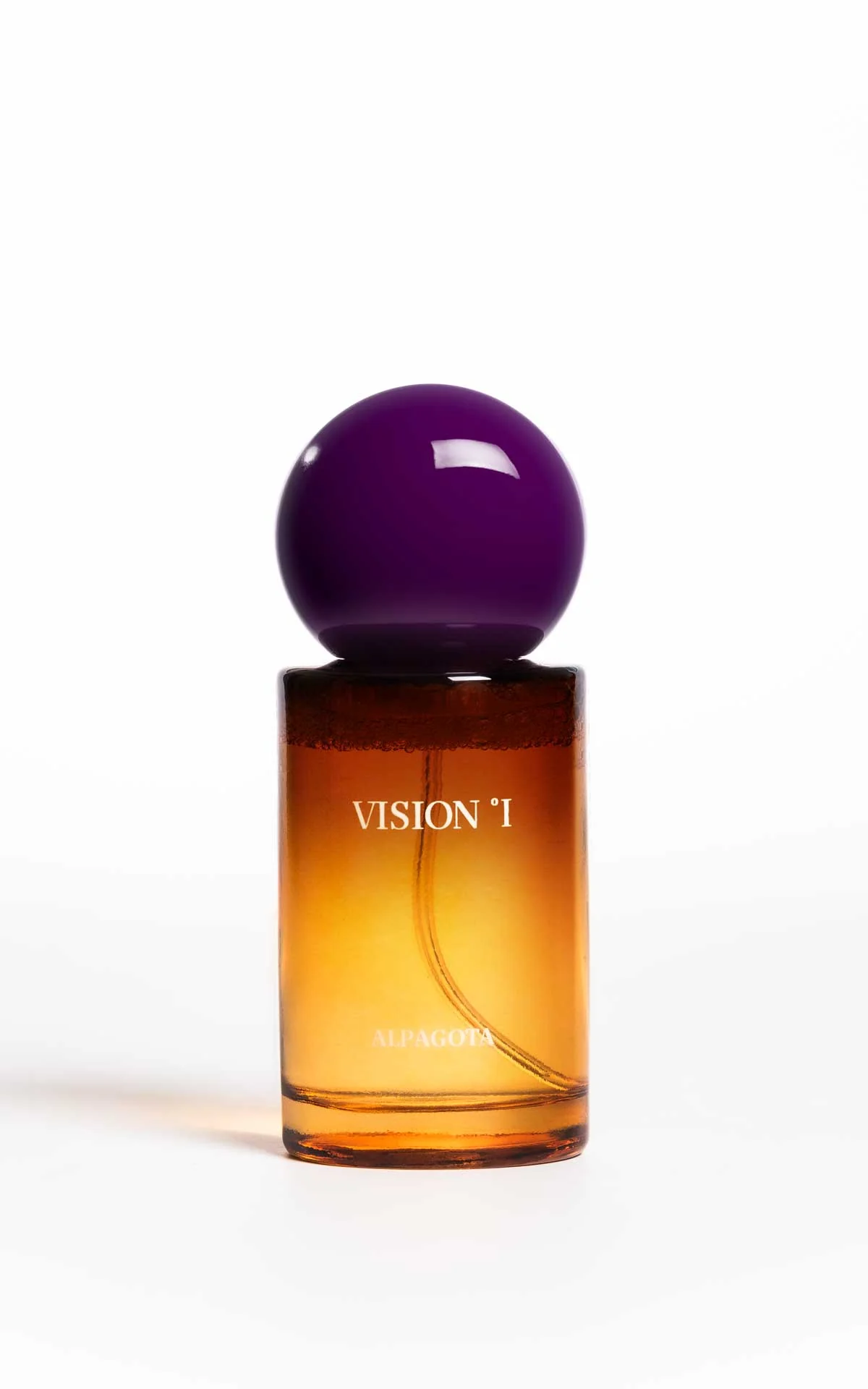 VISION 1