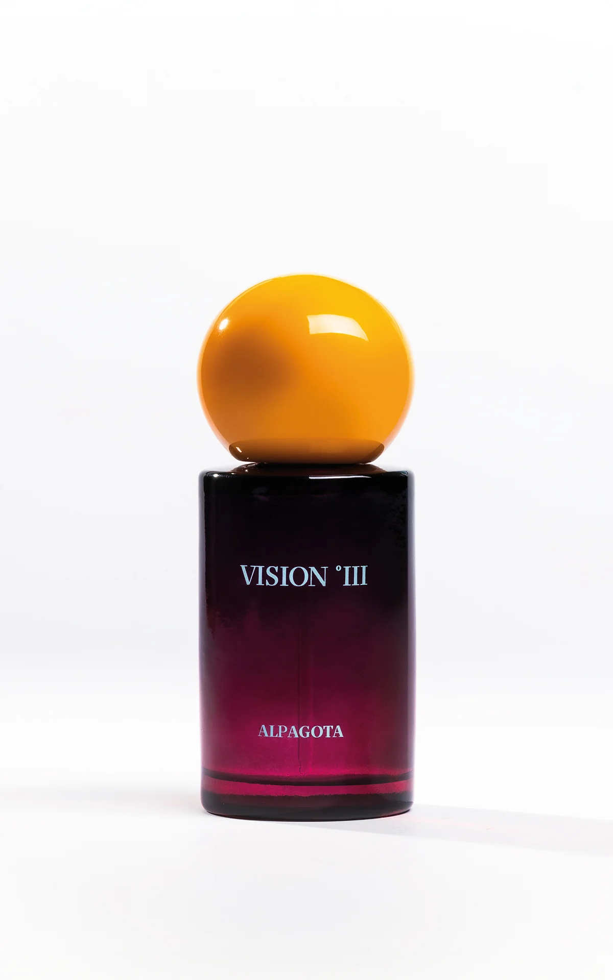 VISION 3