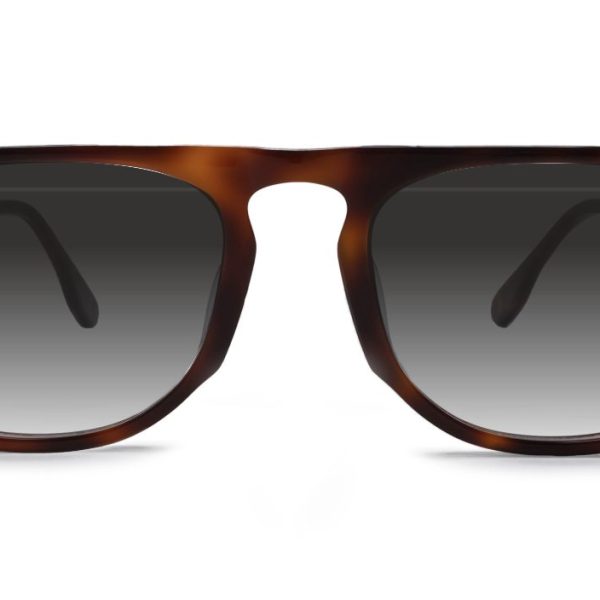 SHINTO TORTOISE PAWA EYEWEAR